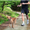 Smycz do Biegania Joggingu z Psem Trixie 1,3 m