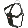 Szelki Samochodowe Bezuciskowe Roz.M 50-70cm