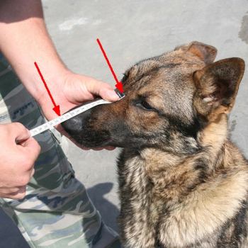 Kaganiec Dla Psa Metalowy Doberman