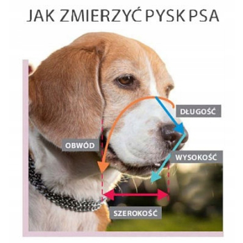 Kaganiec Dla Psa Metalowy Doberman