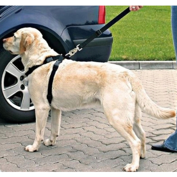 Szelki Dla Psa Do Samochodu Trixie L 70-90cm