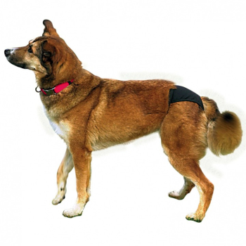 Majtki na Cieczkę Dla Suki XL 60-70cm Trixie