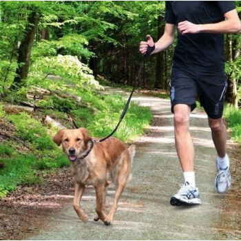 Smycz do Biegania Joggingu z Psem Trixie 1,3 m